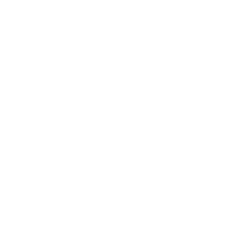 SquareSpace Icon